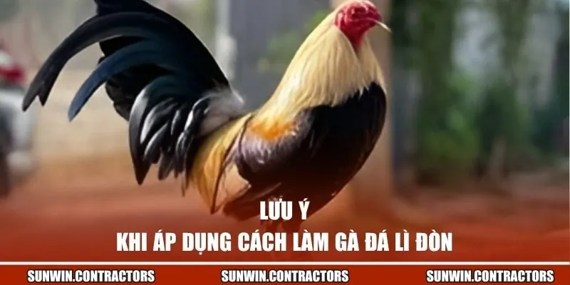 Cách Làm Gà Đá Lì Đòn - Bí Quyết Sở Hữu Thần Kê Bất Bại 3 Lưu ý khi áp dụng cách làm gà đá lì đòn