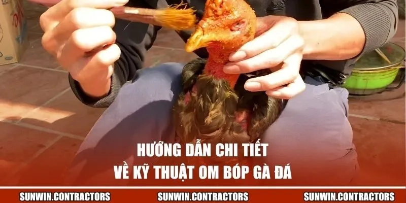 Kỹ Thuật Om Bóp Gà Đá Chuẩn Giúp Nâng Cao Khả Năng Thi Đấu 3 Hướng dẫn chi tiết về kỹ thuật om bóp gà đá